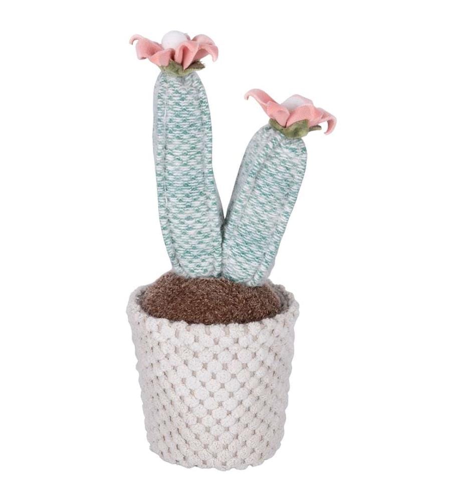 Lot de 6 cactus en tissu - Assortis