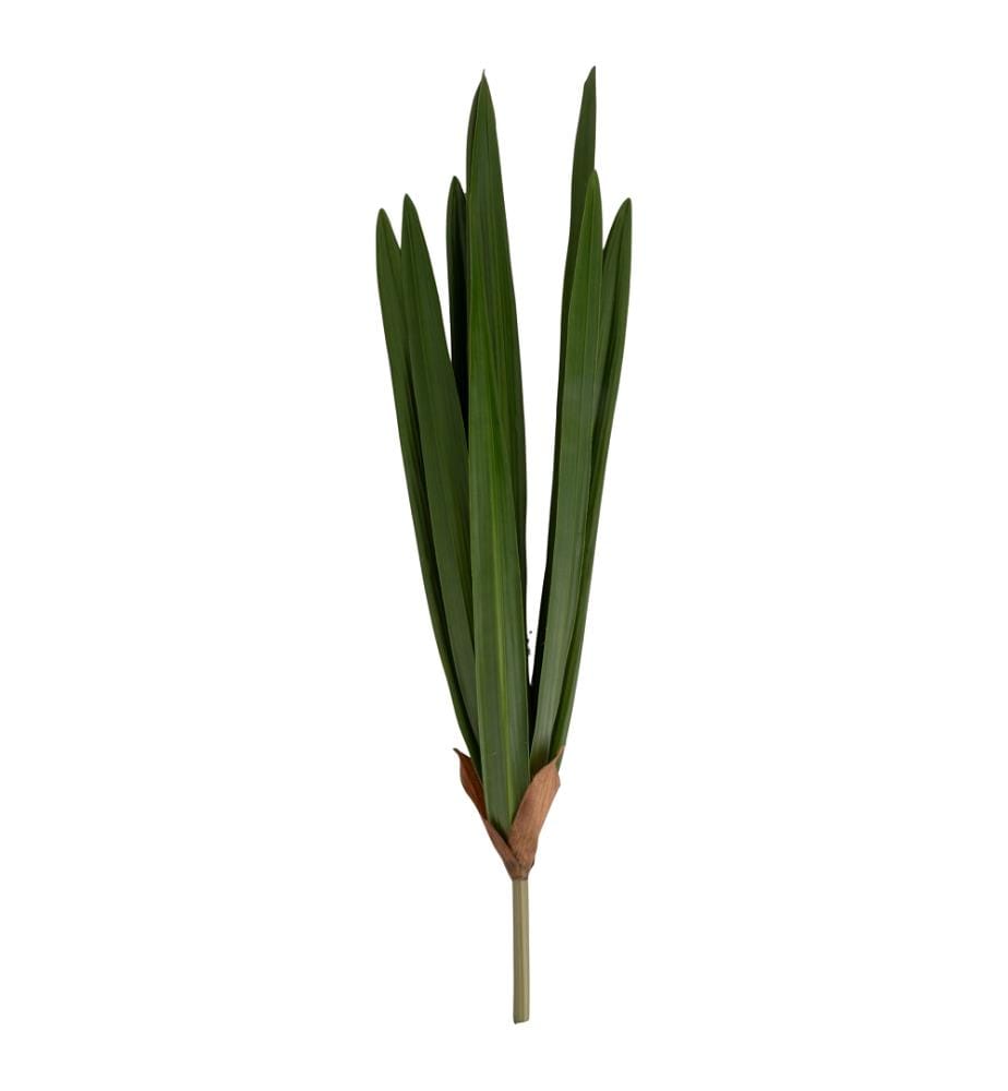 Feuille d'orchidée 59,5 cm - Vert