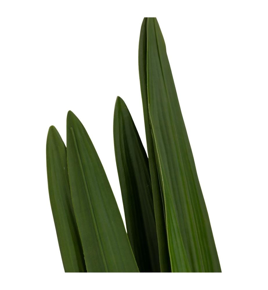 Feuille d'orchidée 59,5 cm - Vert