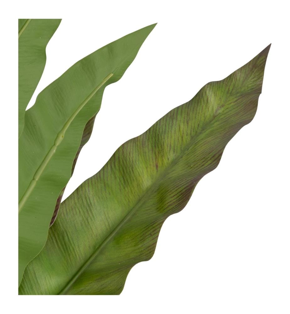 Fougère 80 cm - Vert