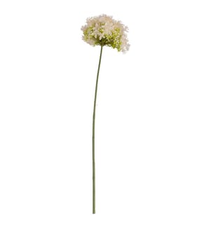 Jasmin 68 cm - Weiss