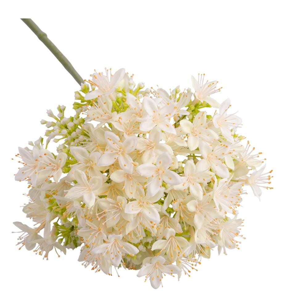 Jasmin 68 cm - White