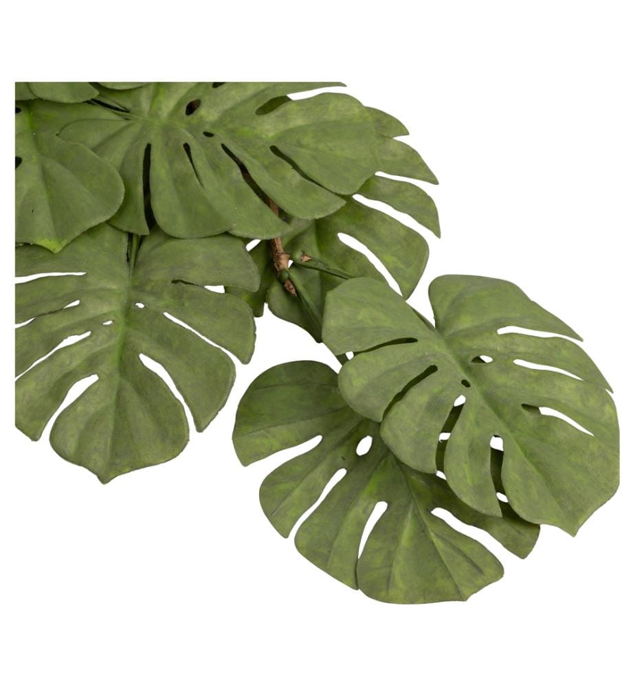 Monstera 99 cm - Vert