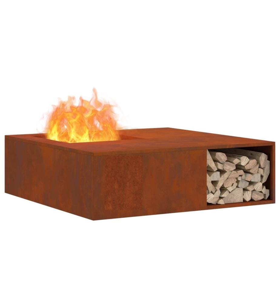 Foyer de cheminée Marron 100 x 100 x 30 cm Acier patiné
