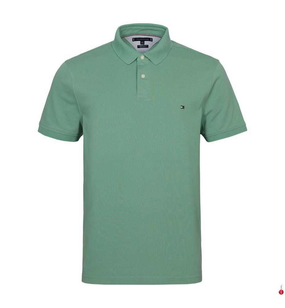 Polo Regular Fit - Vert