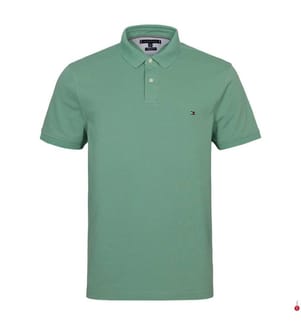Polo Regular Fit - Green