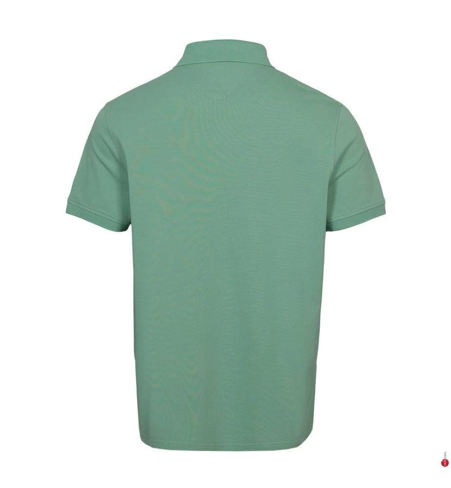 Polo Regular Fit - Vert