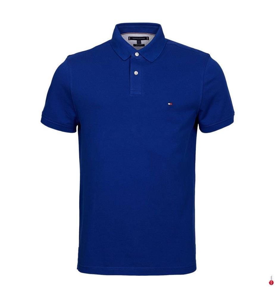 Polo Regular Fit