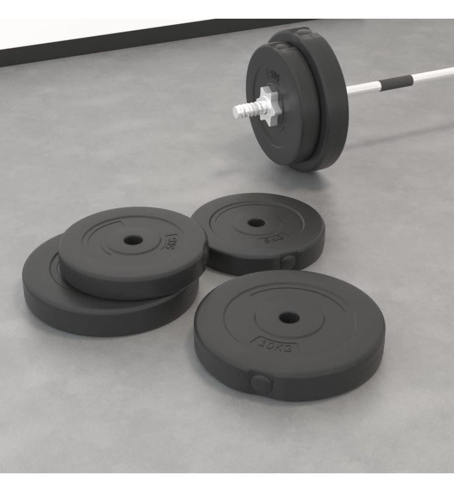 Hantelscheiben 4 Stk. 30 kg Zement