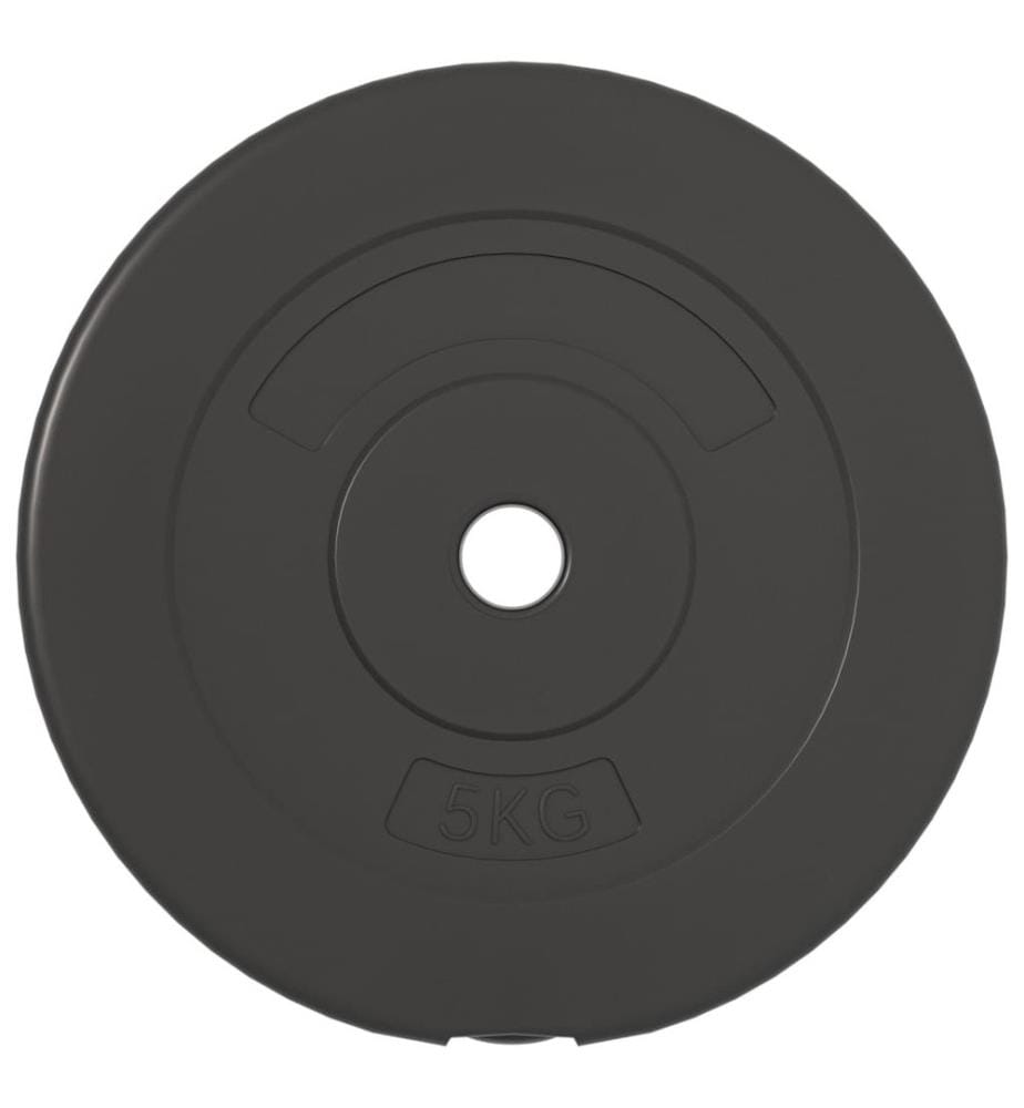 Hantelscheiben 4 Stk. 30 kg Zement