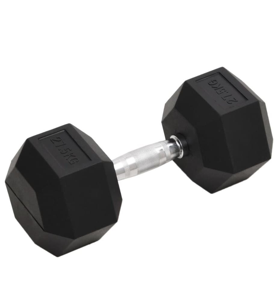 Kurzhantel 27,5 kg Gusseisen