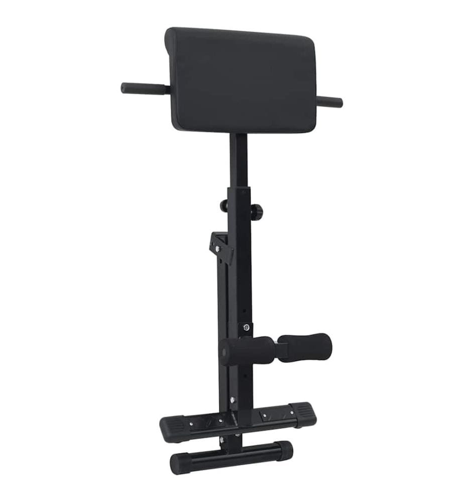 Banc d'hyperextension Noir 100,5 x 70 x 78 cm