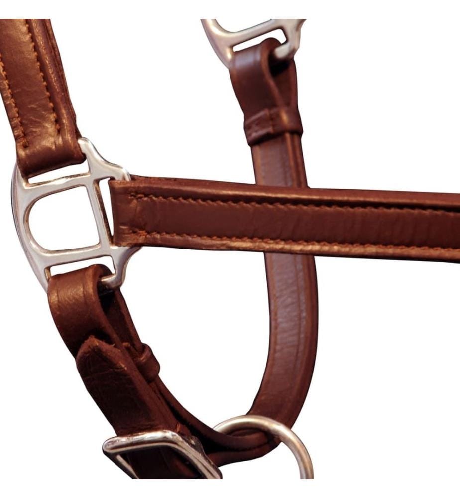 Adjustable leather halter for stable Pony Brown