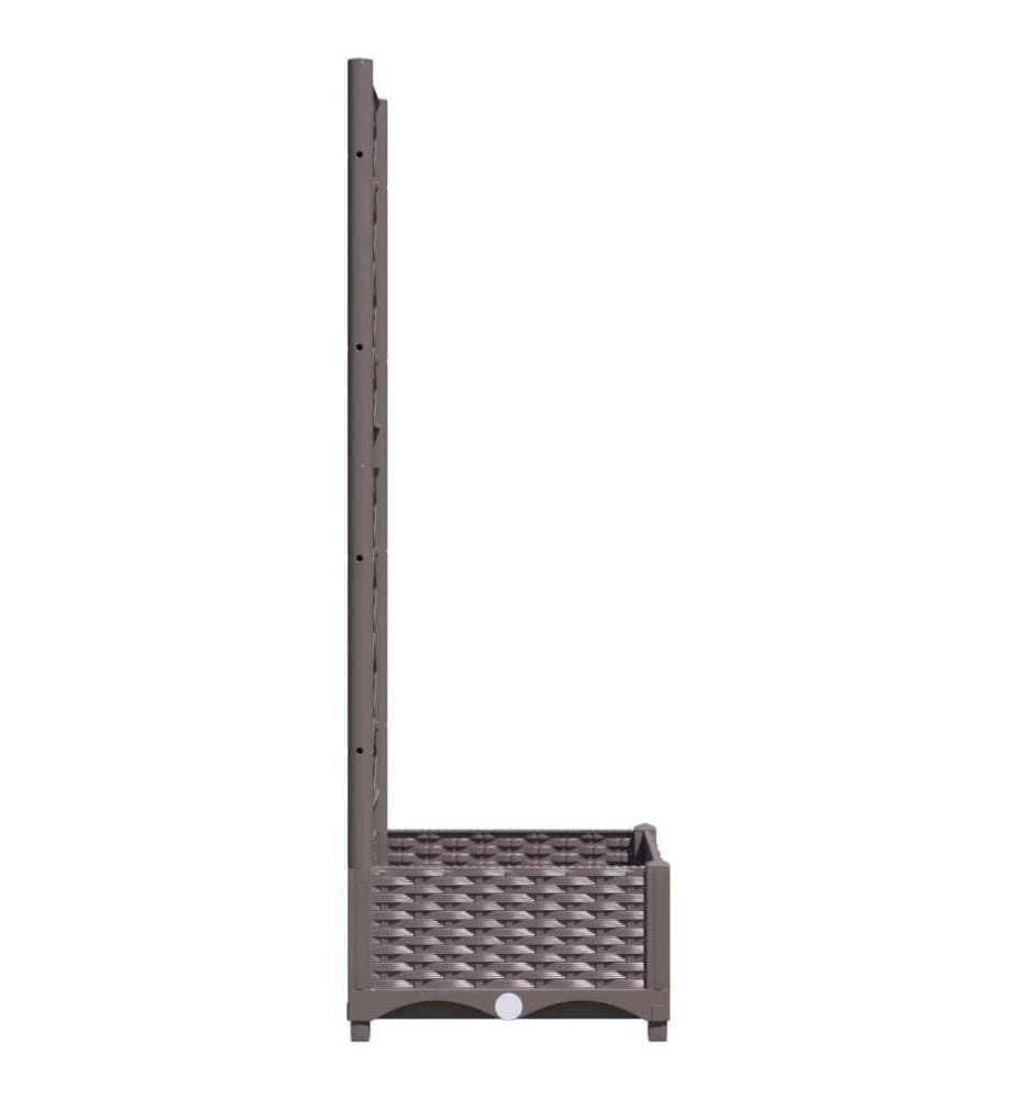 Pflanzkübel mit Rankgitter Braun 40x40x121,5 cm PP