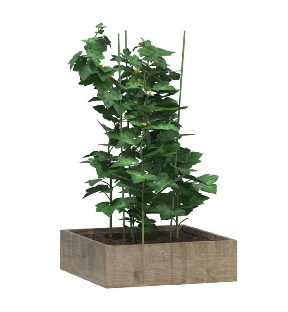 Pflanzenstützen mit 3 Ringen 5 Stk. Grün 75 cm Stahl