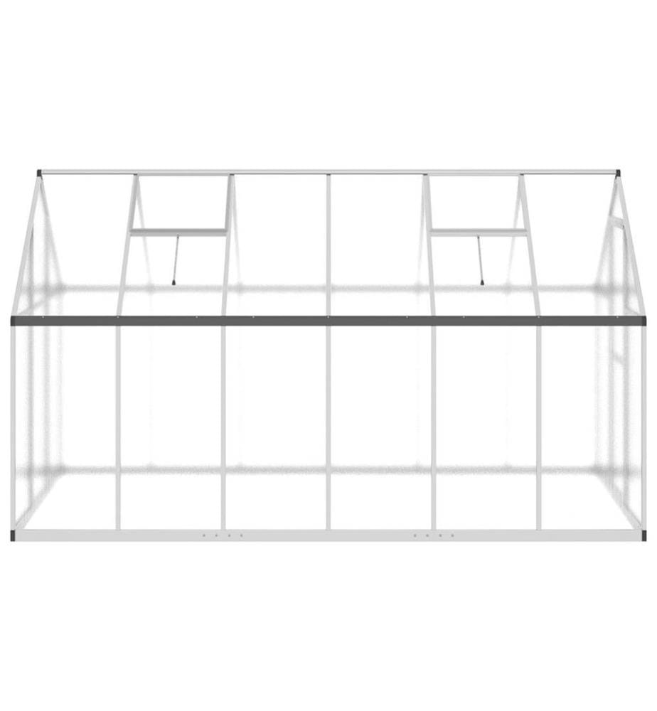 Serre avec cadre de base argenté 334x169x195 cm aluminium