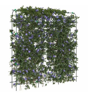 Treillis de jardin pour plantes grimpantes 2 pcs forme en U