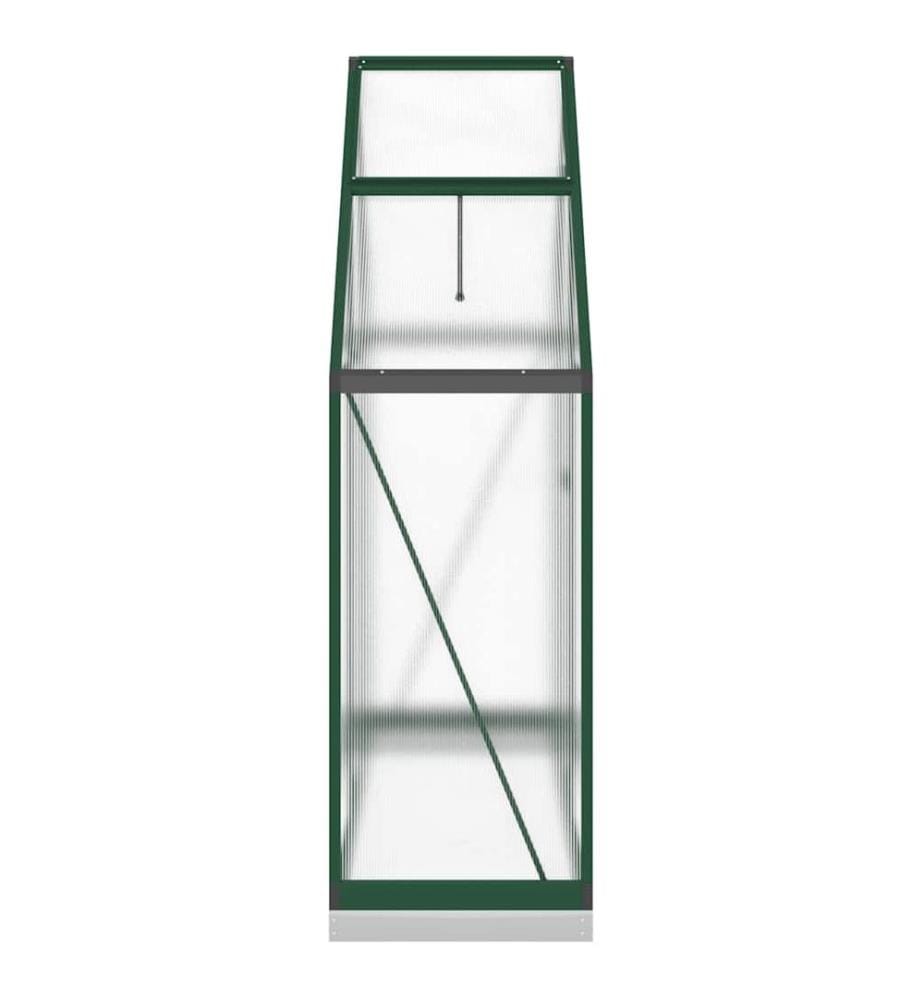 Serre avec cadre de base vert 169x58x202 cm aluminium