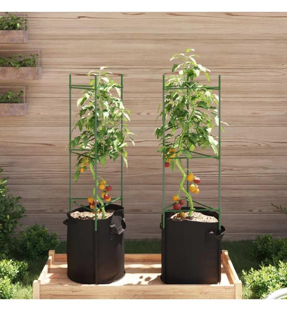 Cage à tomates avec sac à plantes 2 pcs 116 cm acier et PP