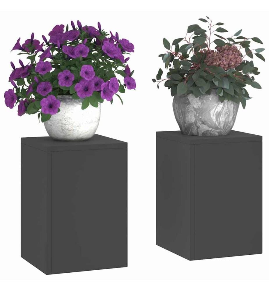 Support de Plante 2 pcs Noir 24 x 24 x 35 cm Acier
