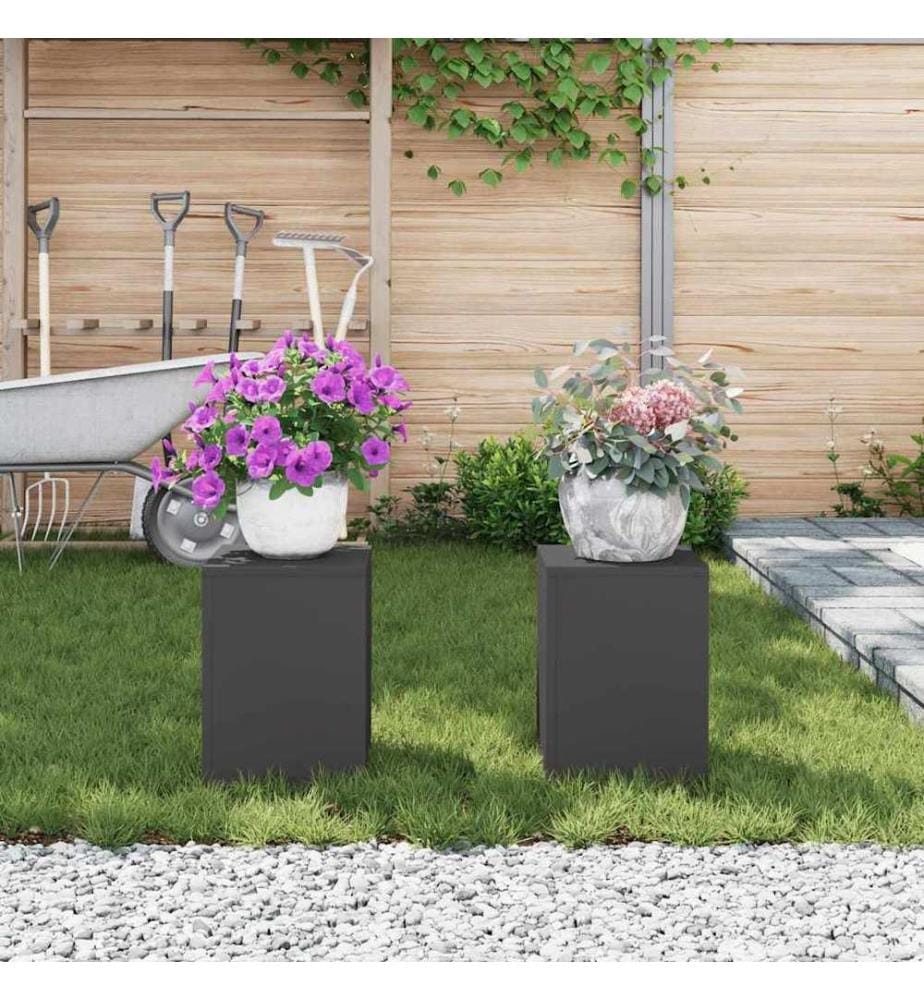 Support de Plante 2 pcs Noir 24 x 24 x 35 cm Acier
