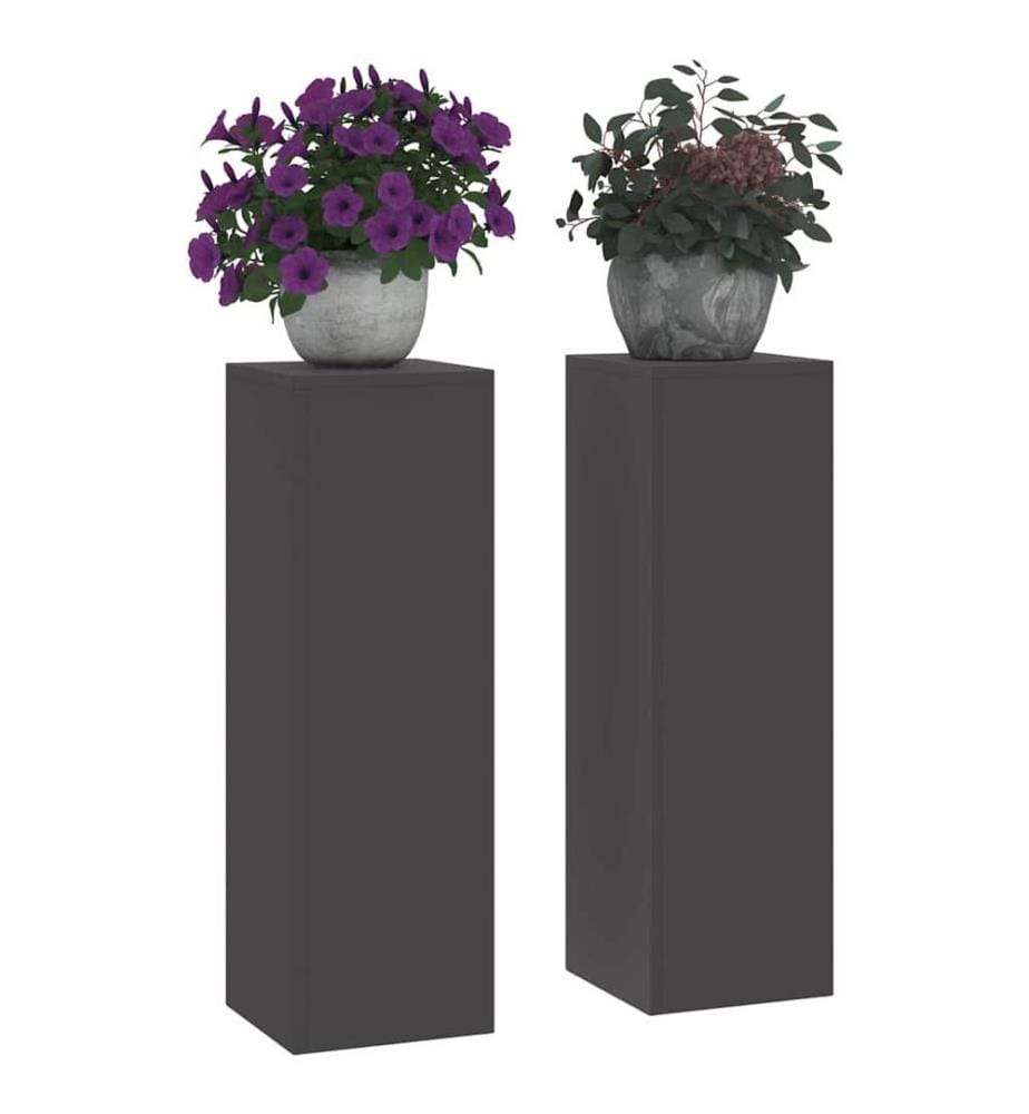 Support de Plante 2 pcs Noir 24 x 24 x 75 cm Acier