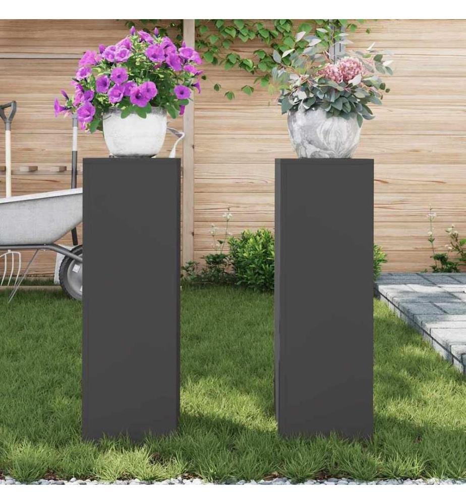 Support de Plante 2 pcs Noir 24 x 24 x 75 cm Acier