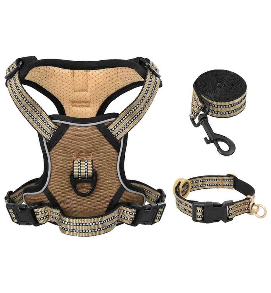 Harnais pour chien avec laisse et collier réglables marron L