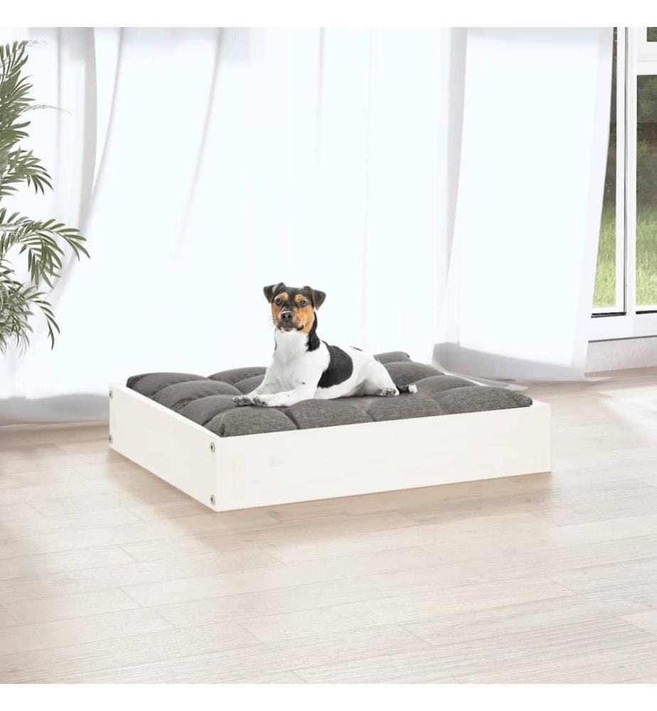 Lit pour chien Blanc 51,5x44x9 cm Bois de pin solide