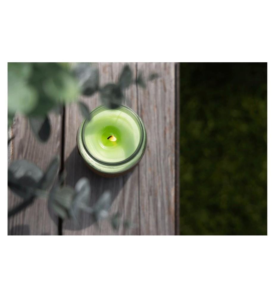 BALTHASAR - Bougie de jardin Citronella Jar Vert clair
