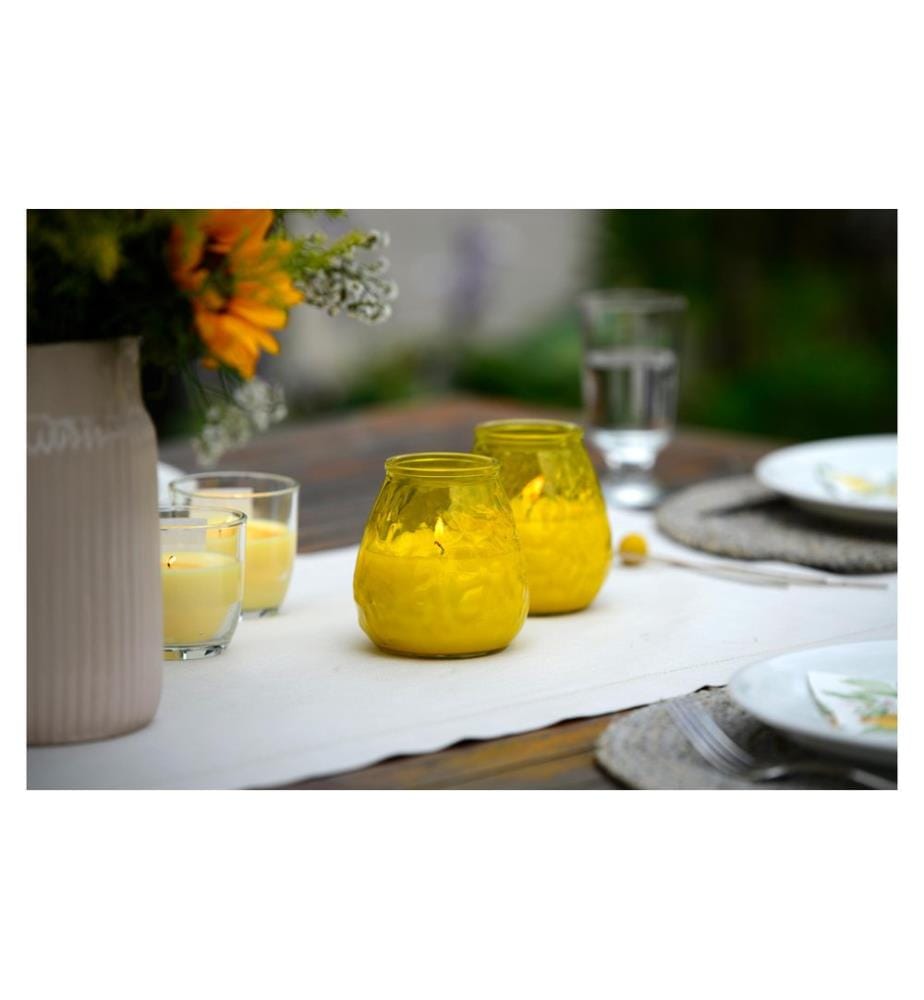 müller Kerzen Bougie de jardin Citronnelle en verre