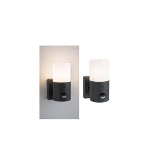 PAULMANN - Lampe murale Tubs Détecteur de mouvement max. 15W 230 V gris mat