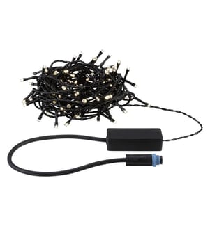 PAULMANN - Guirlande lumineuse LED Plug & Shine Yuna 12.4 m, WW, noir
