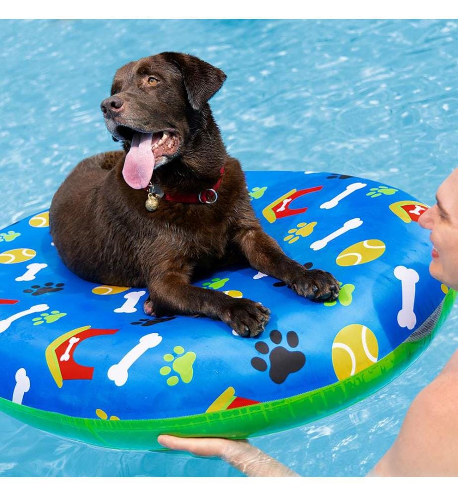 Poolfloss für Haustiere – bunt