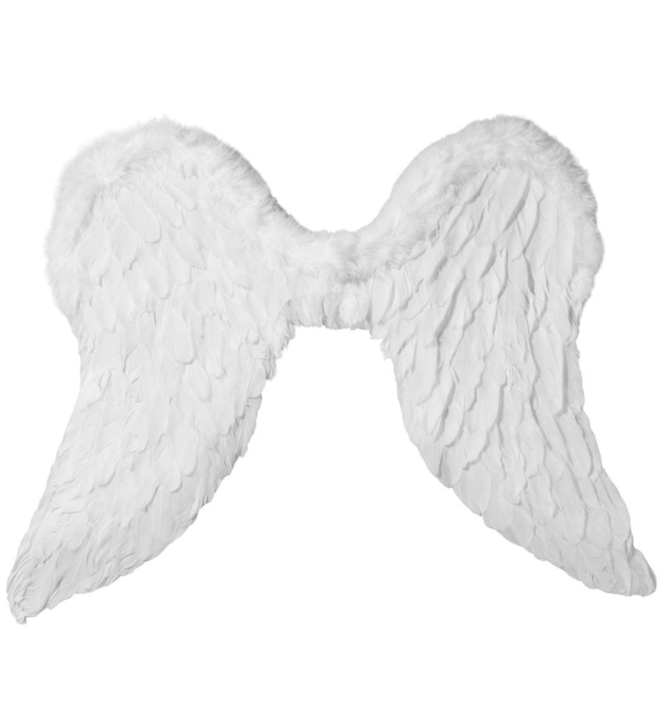 Charmantes ailes d'ange 74 x 54 cm
