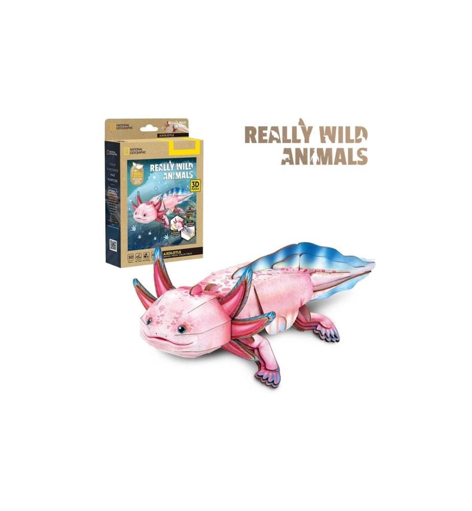 CubicFun Puzzle Axolotl 3D, 50 pièces
