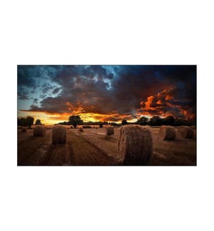 Samsung Videowall Display VM55B-U 55 '