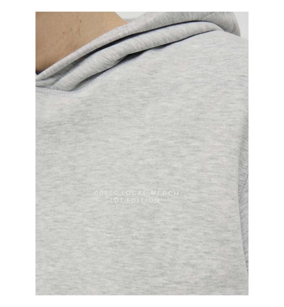 Hoodie mit Rückenprint - Grau