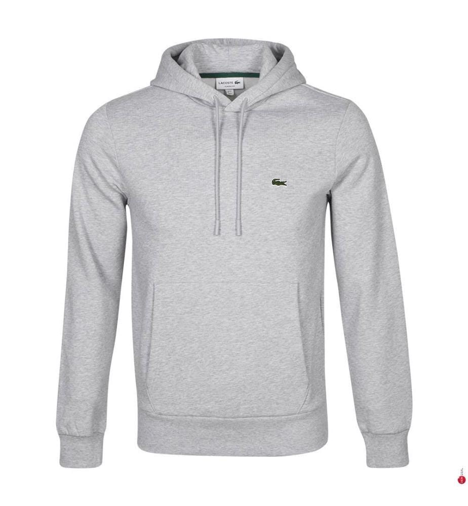 Hoodie en coton biologique - Gris Clair
