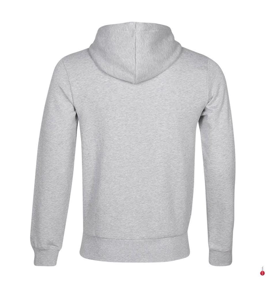 Hoodie en coton biologique - Gris Clair