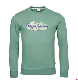 Sweat Regular Fit - Vert