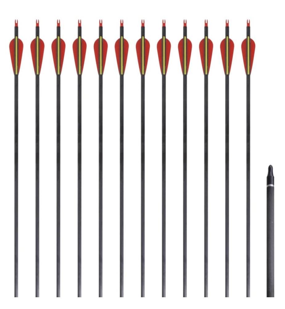 Flèche d'arc recourbé standard 12 pcs 30" 0,76 cm carbone