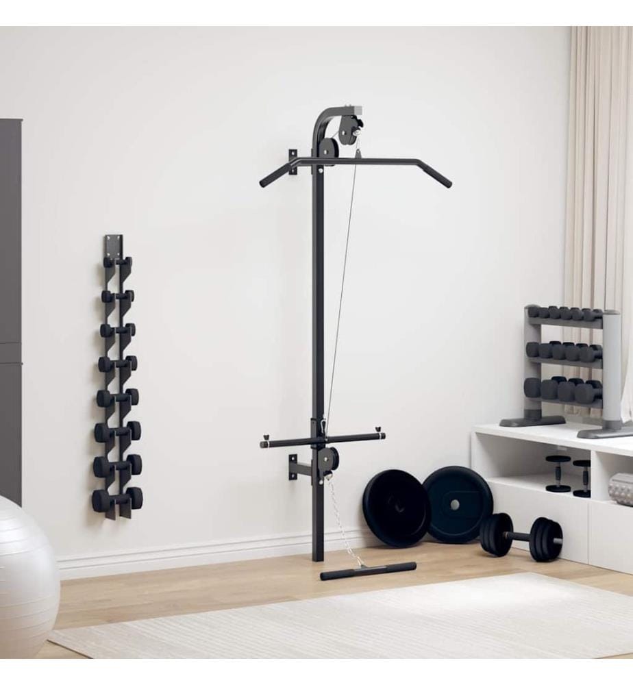 Appareil de musculation mural avec 2 poulies