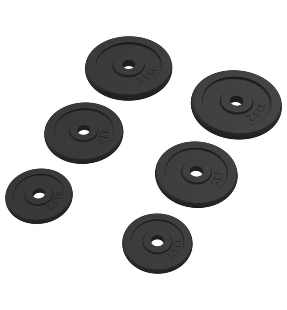 Hantelscheiben 6 Stk. 30 kg Gusseisen