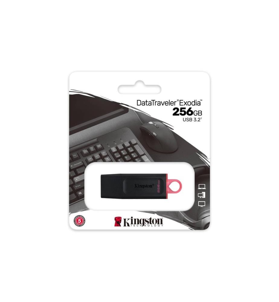 KINGSTON - USB-Stick DataTraveler Exodia 256 GB
