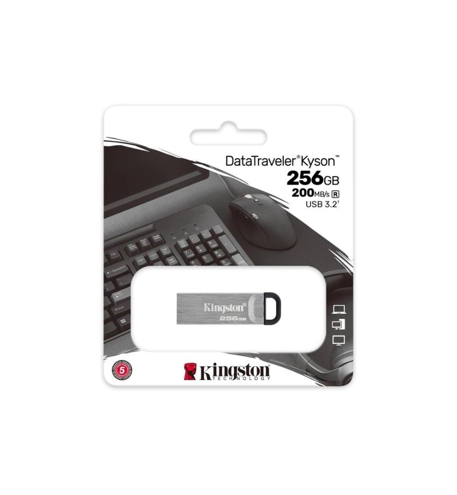 KINGSTON - USB-Stick DataTraveler Kyson 256 GB