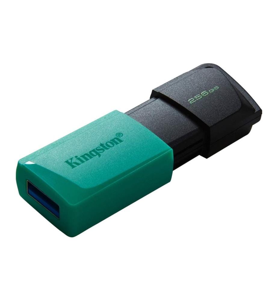 KINGSTON - USB-Stick DataTraveler Exodia M 256 GB
