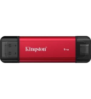 KINGSTON - Externe SSD Dual Portable 1024 GB