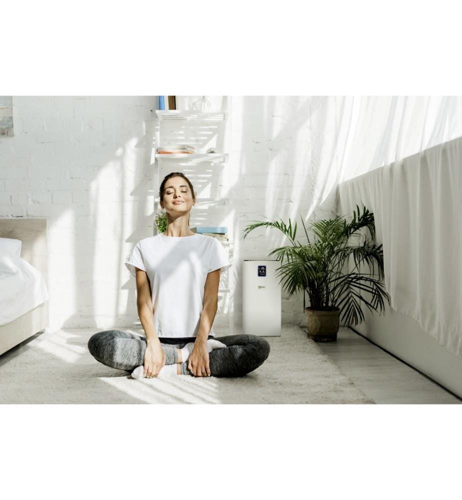 AF 30 Air Purifier - White
