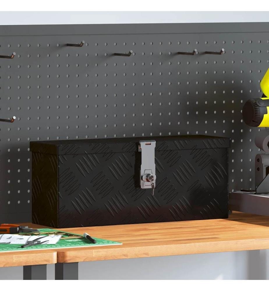 Boîte de rangement Noir 50x15x20,5 cm Aluminium